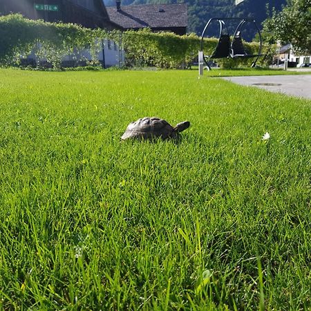 Appartement-Ennemoser Mellau Zewnętrze zdjęcie